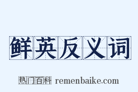 鲜英反义词是什么意思的图片